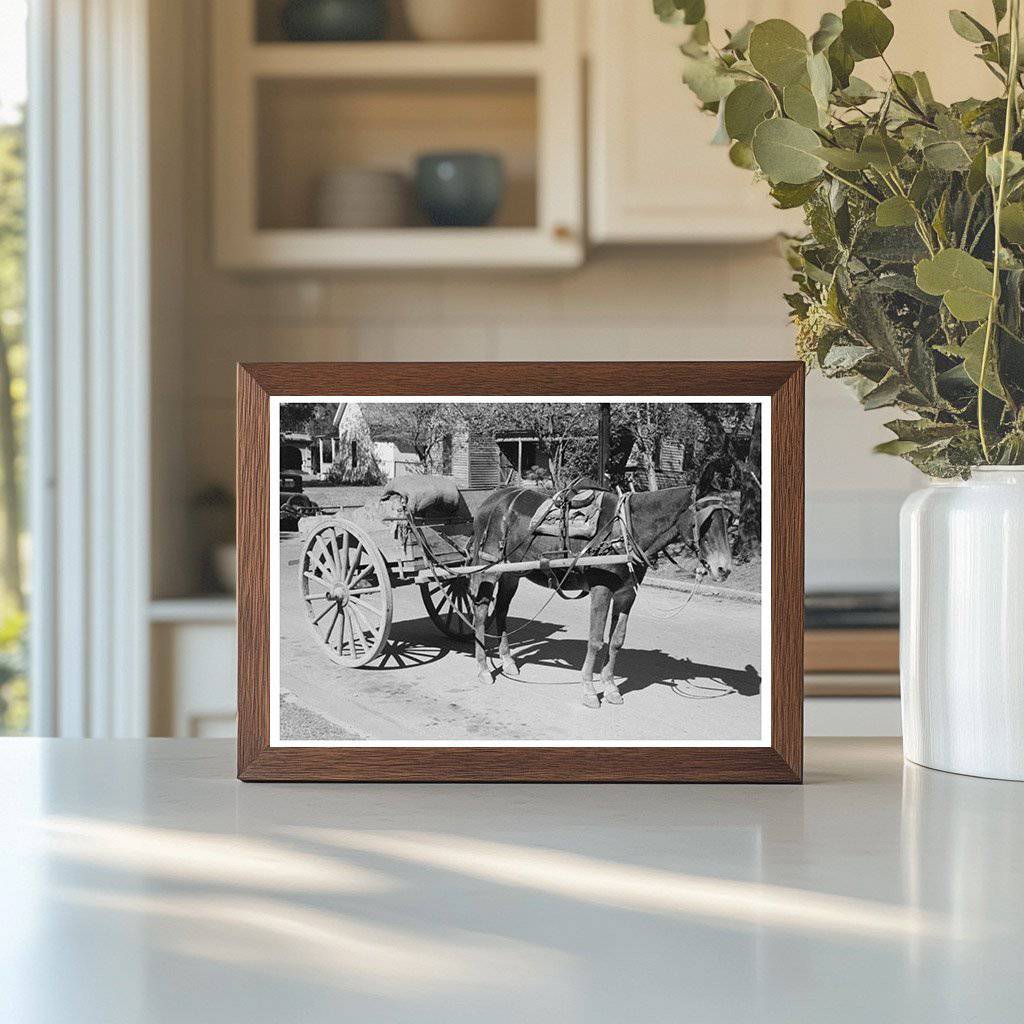 Horse and Wagon in Taylor Texas October 1939