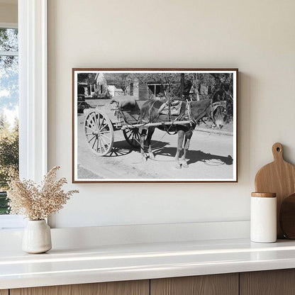 Horse and Wagon in Taylor Texas October 1939