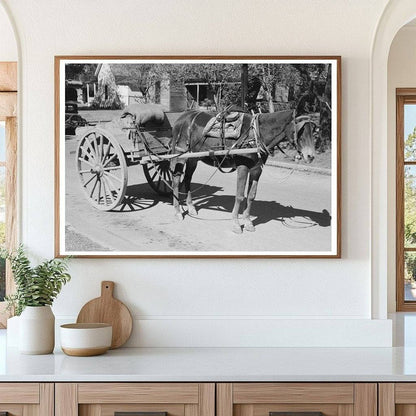 Horse and Wagon in Taylor Texas October 1939