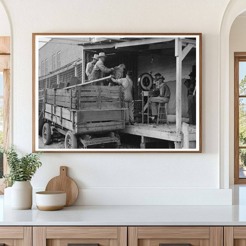 Turkeys Unloaded at Poultry Cooperative Brownwood Texas 1939