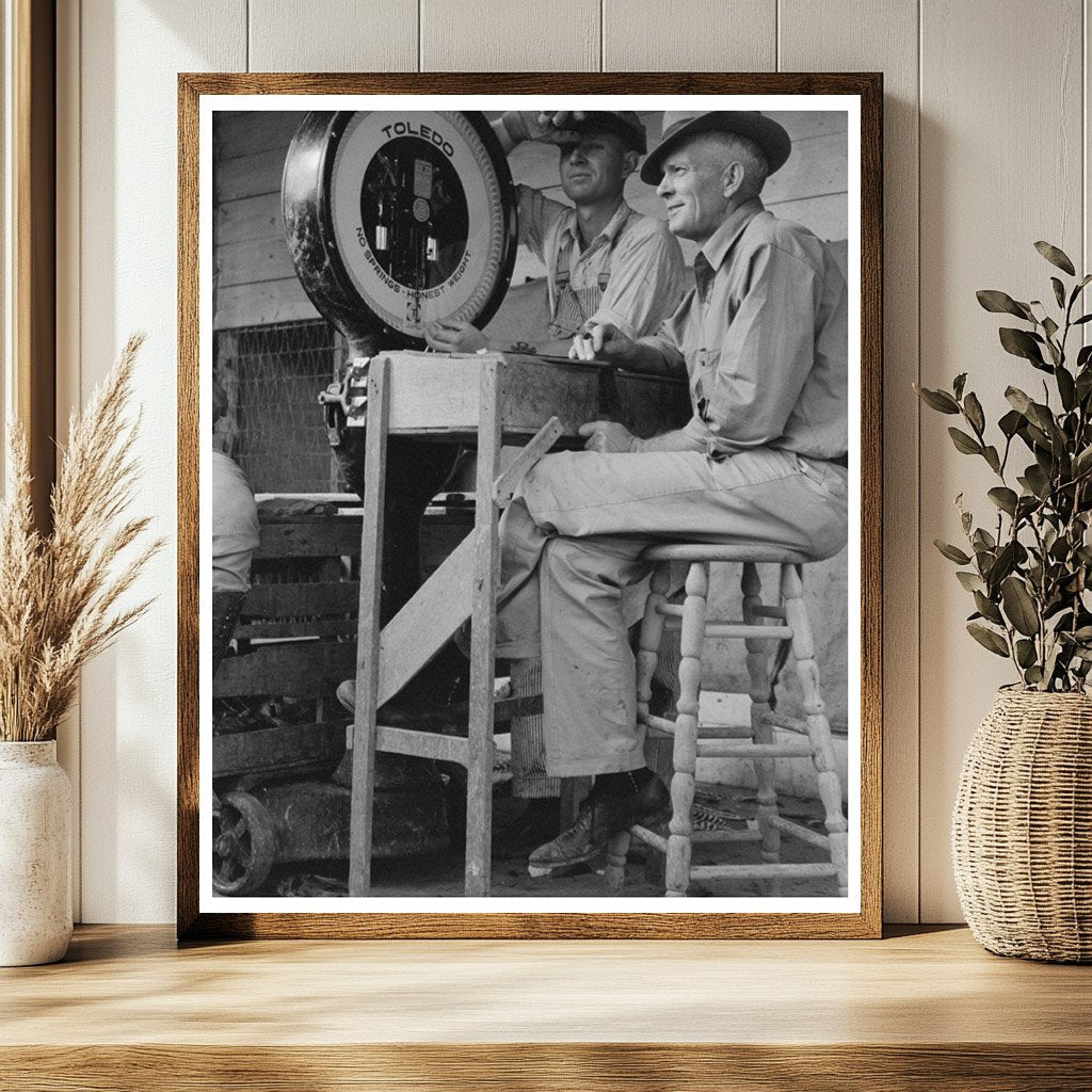 Poultry Cooperative Weigher Brownwood Texas 1939