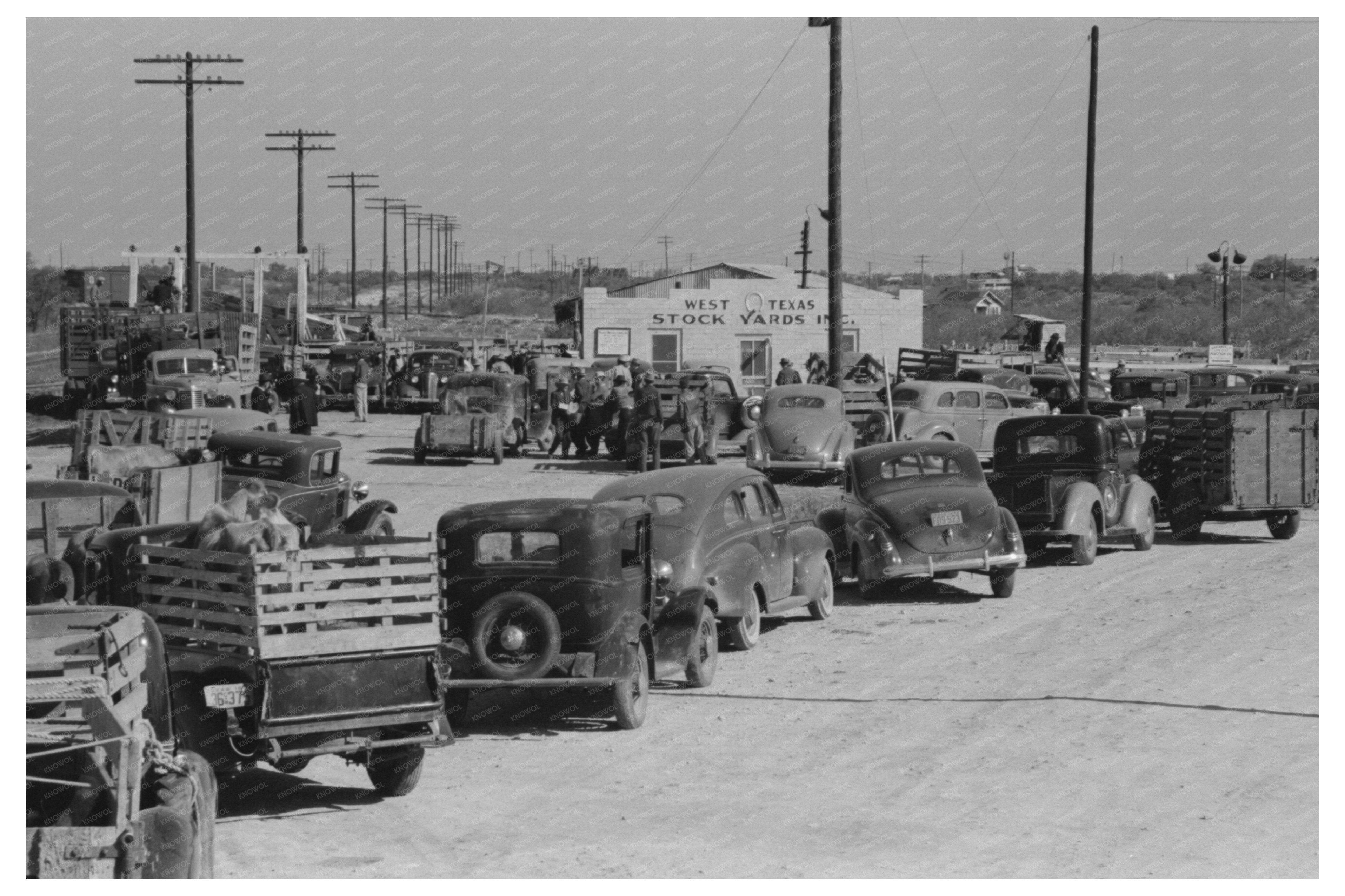 Trucks at San Angelo Stockyard Texas November 1939