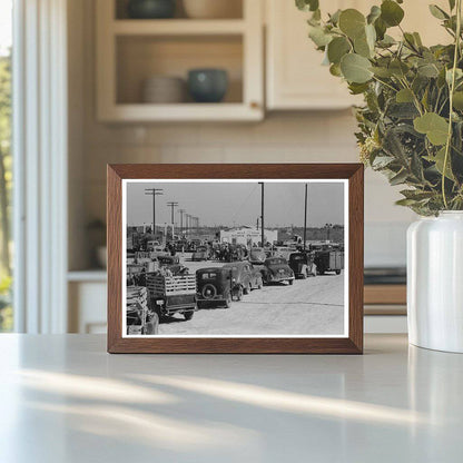 Trucks at San Angelo Stockyard Texas November 1939