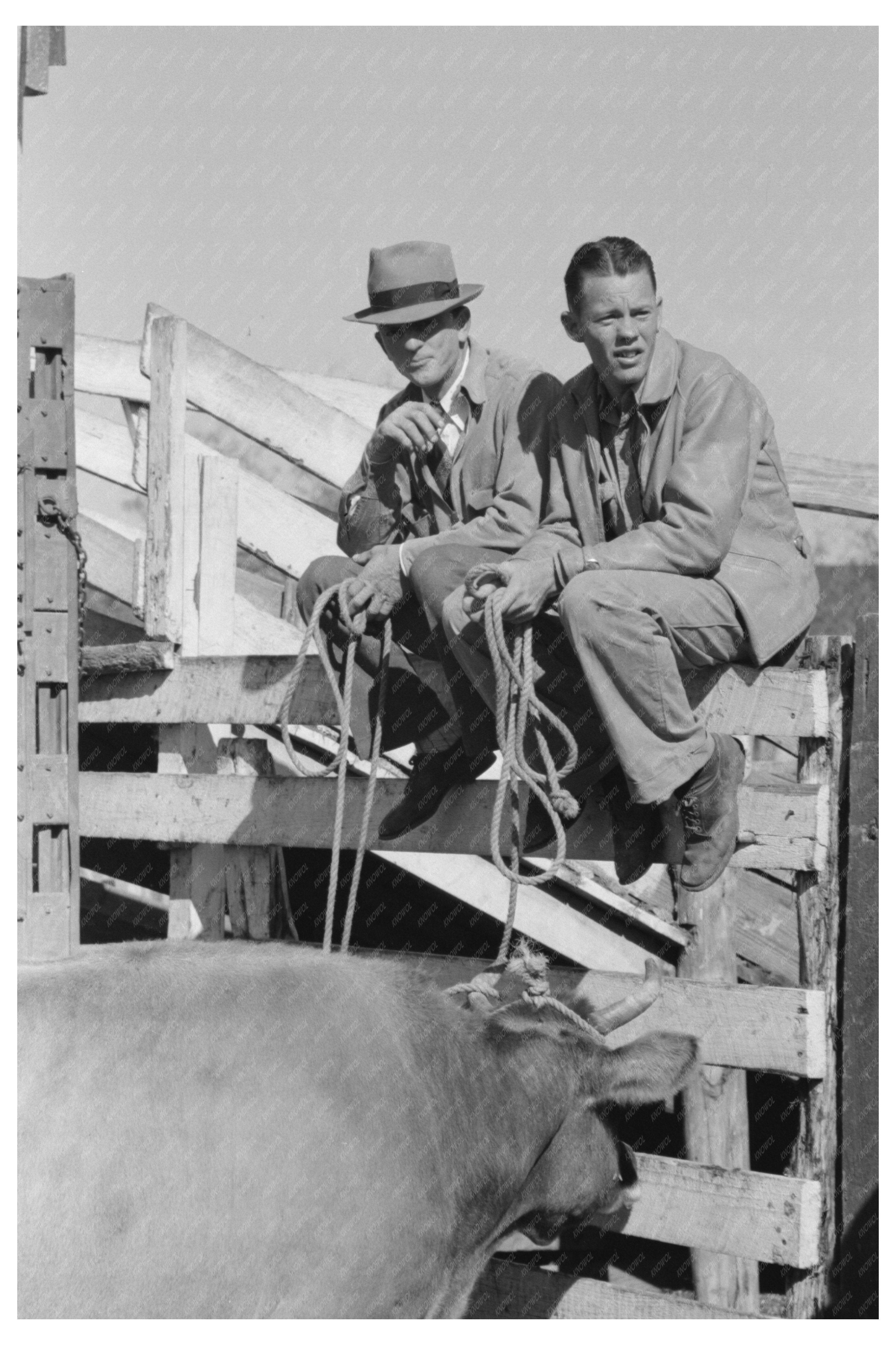 Stockmen on Fence at San Angelo Stockyard 1939