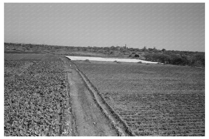 Truck Farm with Frame Garden San Angelo Texas 1939