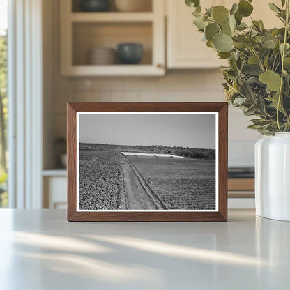 Truck Farm with Frame Garden San Angelo Texas 1939