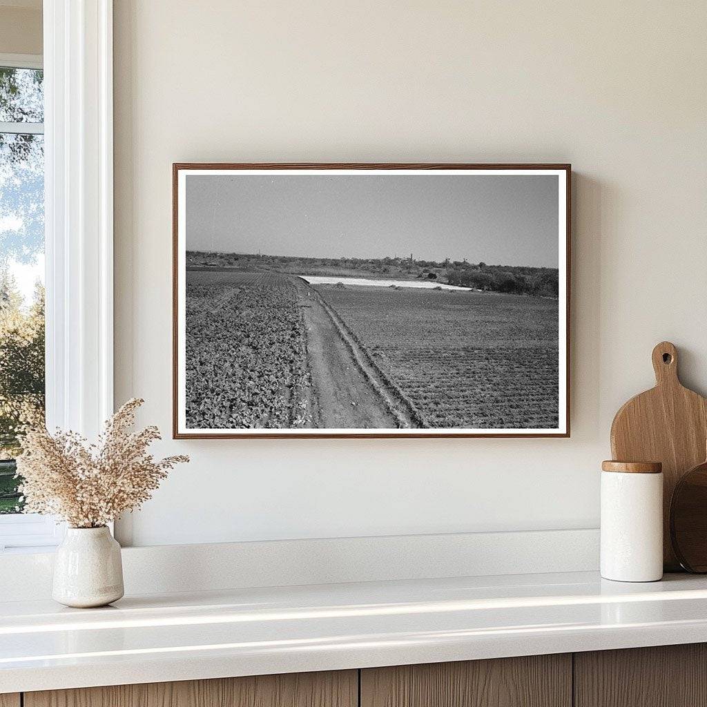 Truck Farm with Frame Garden San Angelo Texas 1939