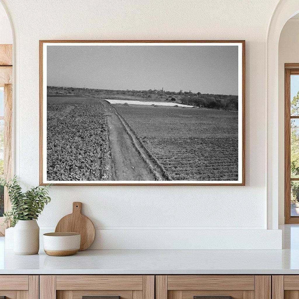 Truck Farm with Frame Garden San Angelo Texas 1939