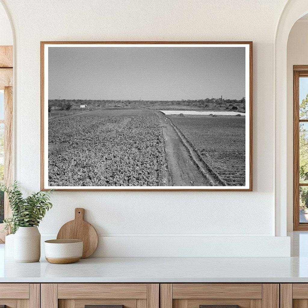 Vintage 1939 Truck Farm near San Angelo Texas