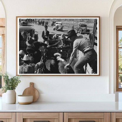 Cattle Check-In at San Angelo Stockyards 1939