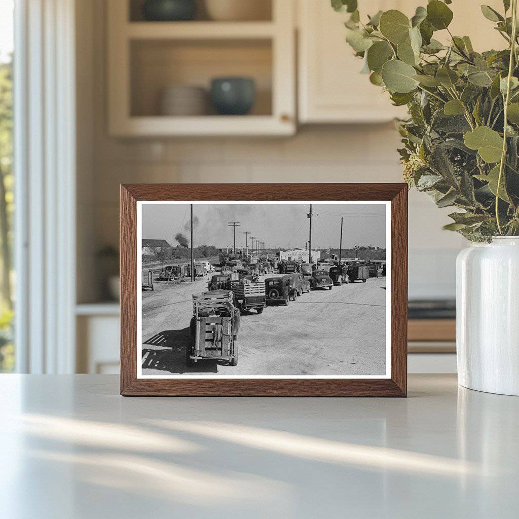 San Angelo Texas Stockyards Vintage Photo November 1939