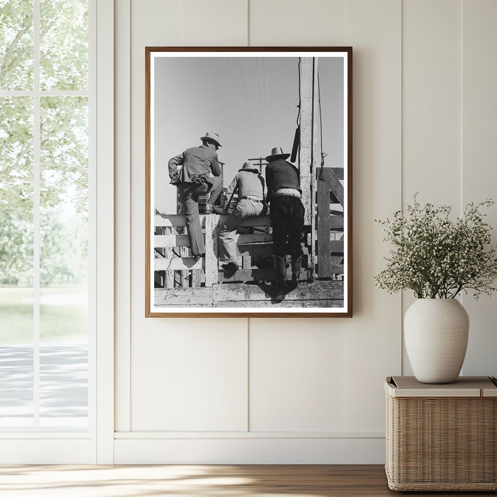 Cattlemen Examine Cattle at San Angelo Stockyards 1939