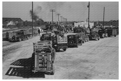 Trucks at San Angelo Stockyard November 1939