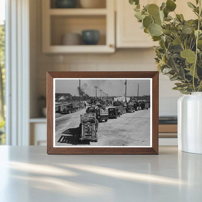 Trucks at San Angelo Stockyard November 1939