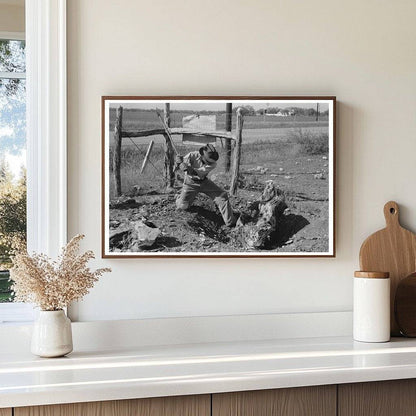 Mesquite Stump Removal for Truck Farming in Texas 1939