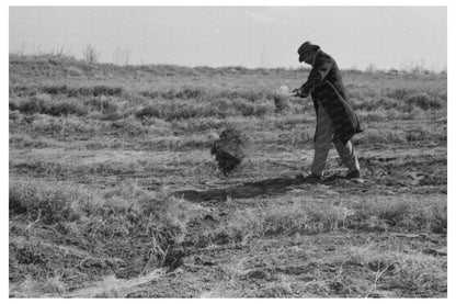 Pomp Hall Assessing Soil Moisture February 1940