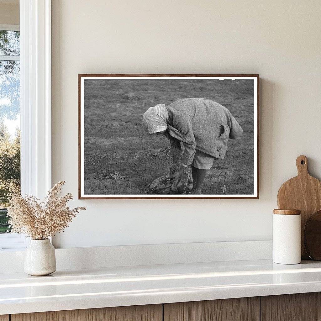 Woman Pulling Turnips in Creek County Oklahoma 1940