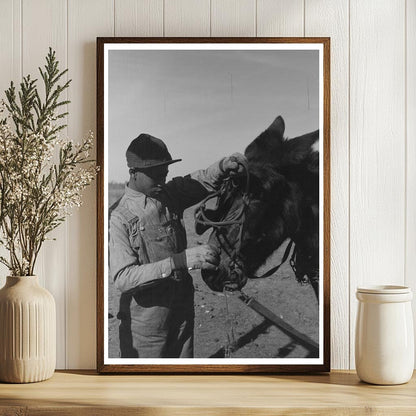 African American Child Unharnessing Mule Farm Oklahoma 1944