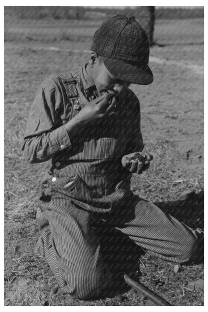 African American Boy Eating Black Walnuts February 1944