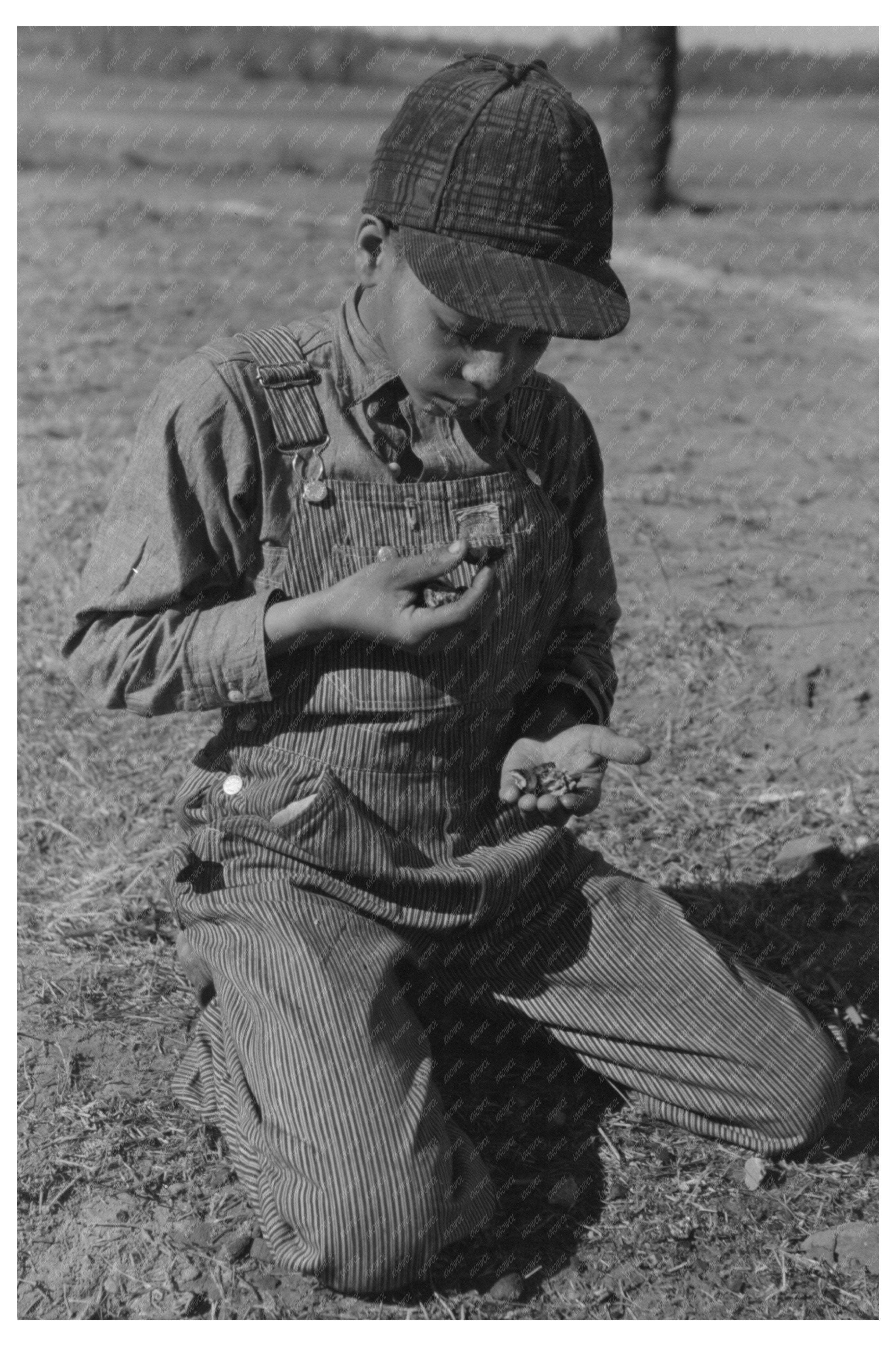 African American Boy Eating Walnuts Oklahoma 1944