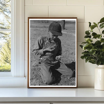 African American Boy Eating Walnuts Oklahoma 1944