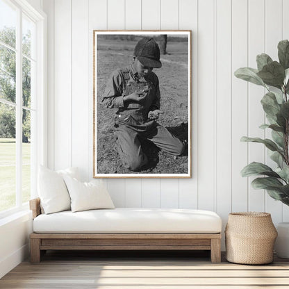 African American Boy Eating Walnuts Oklahoma 1944