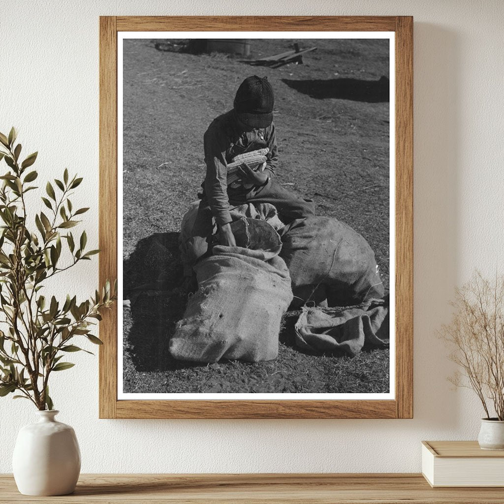 Young Boy Eating Black Walnuts on Farm 1944