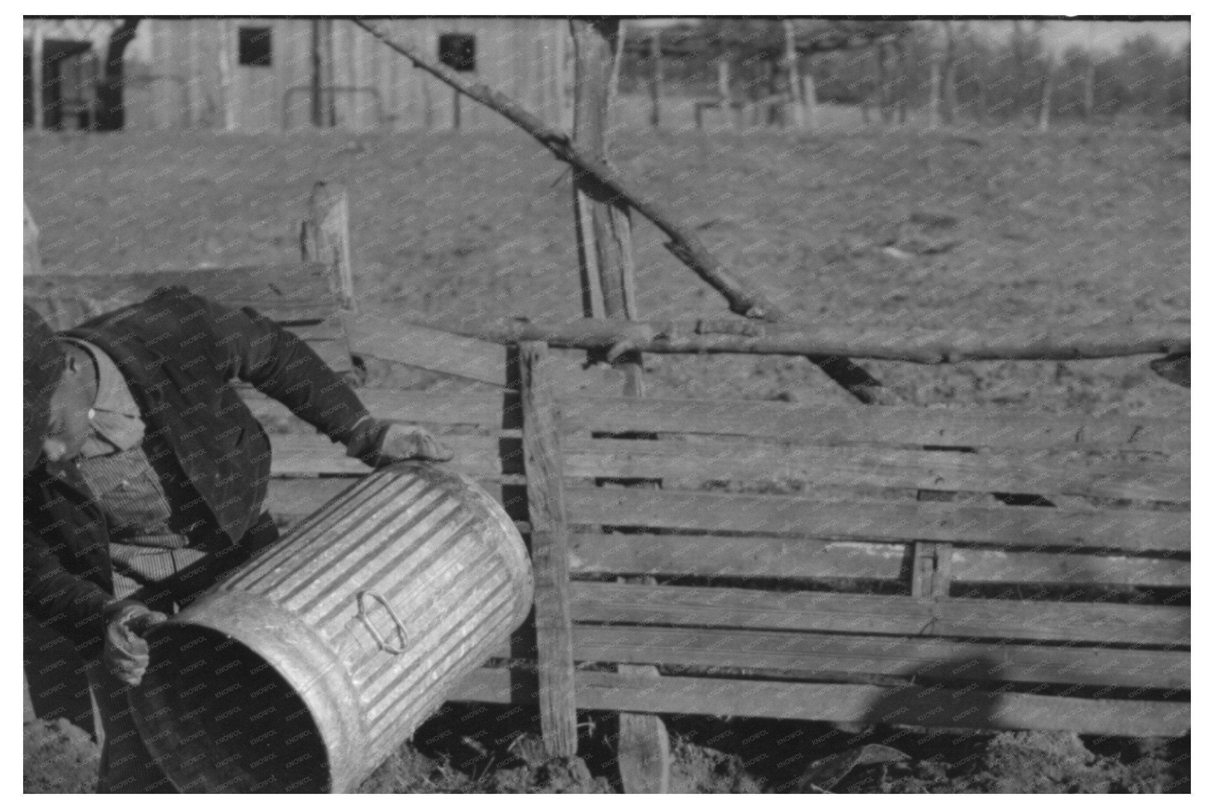 Sons of Pomp Hall Feeding Hogs in 1940 Oklahoma