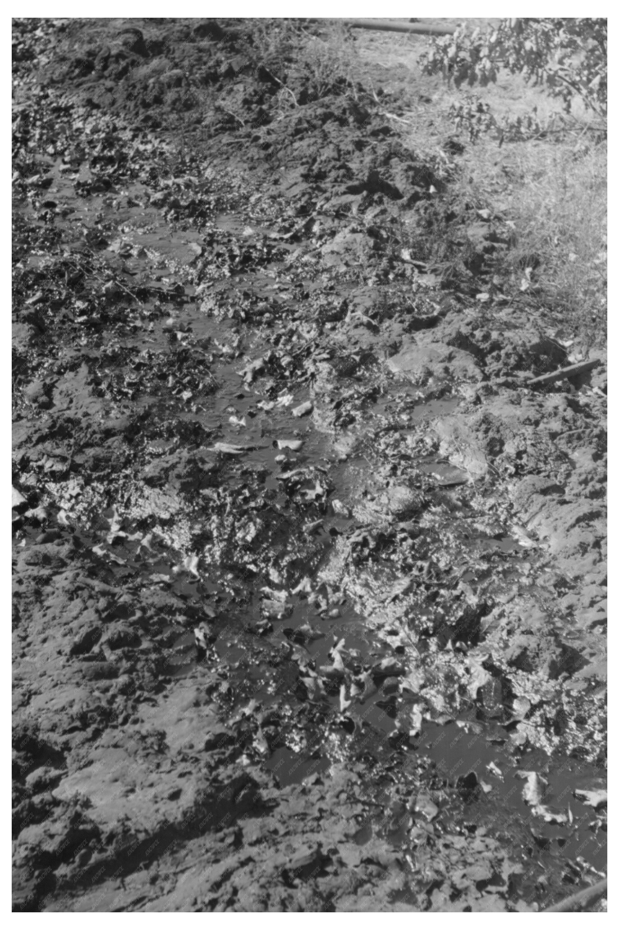 Waste Oil Flowing into Slush Pits Creek County Oklahoma 1940