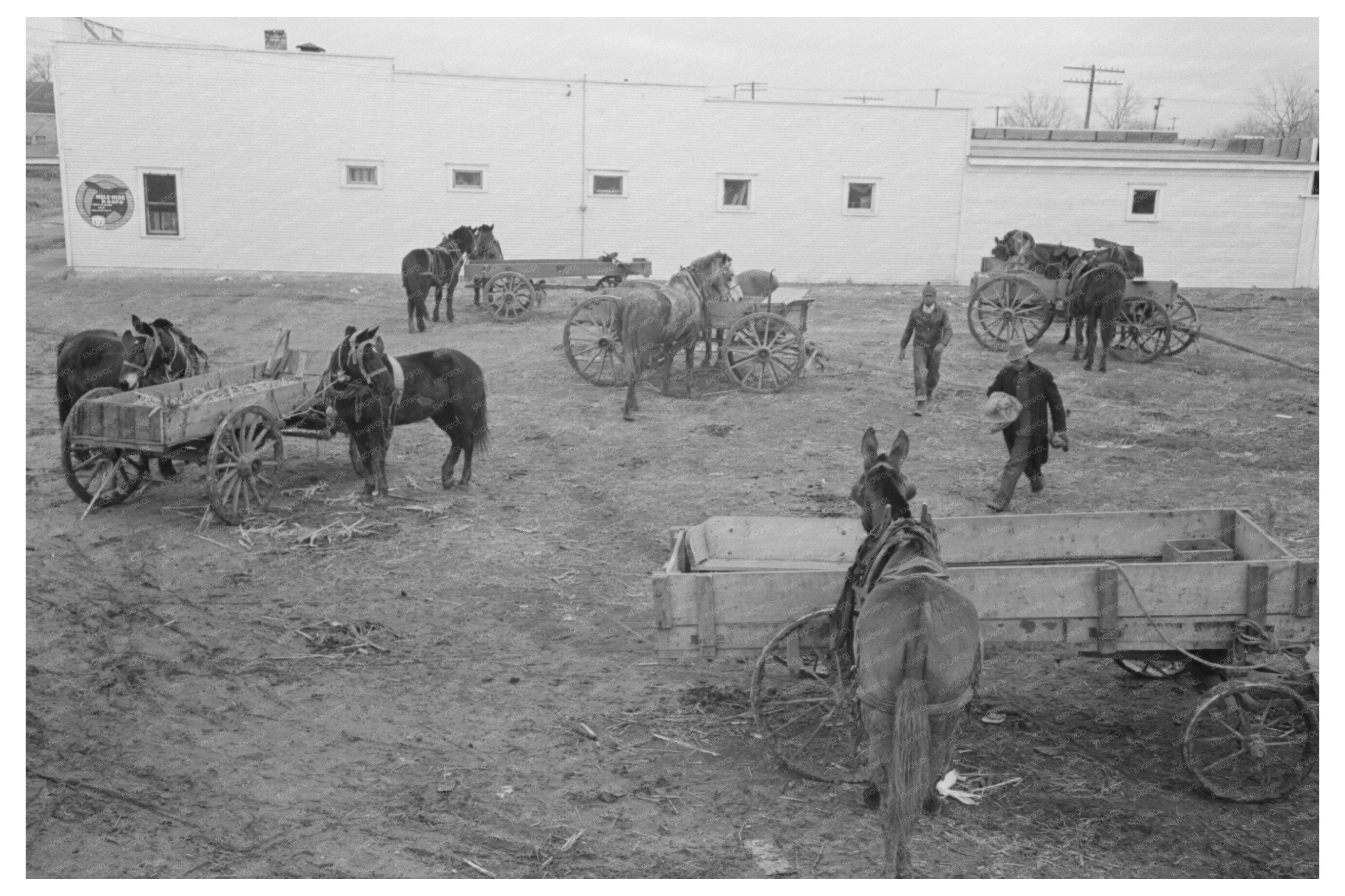 Eufaula Oklahoma Farmers Wagons and Horses 1940