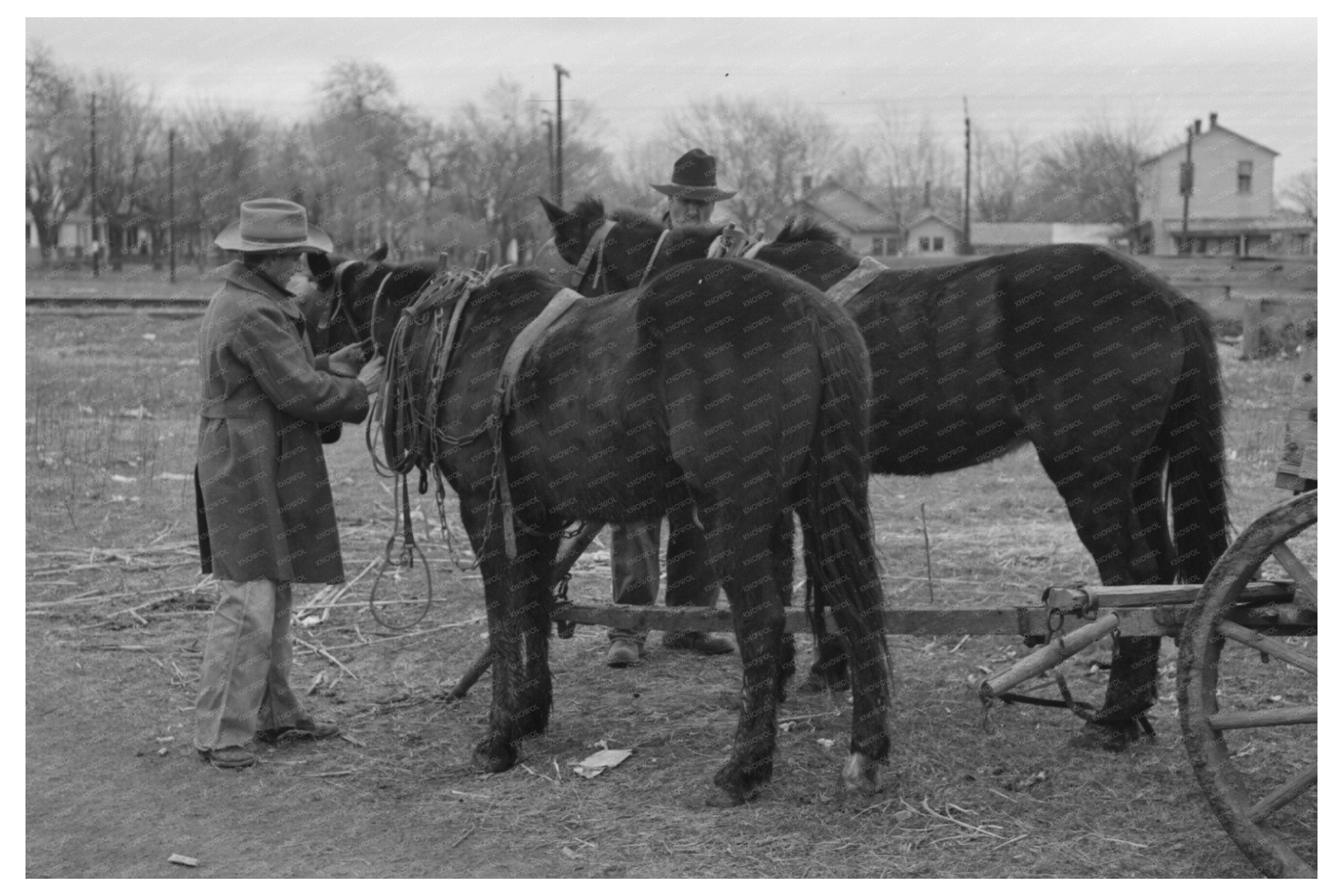 Eufaula Oklahoma Farmers Lot Vintage Photo February 1940