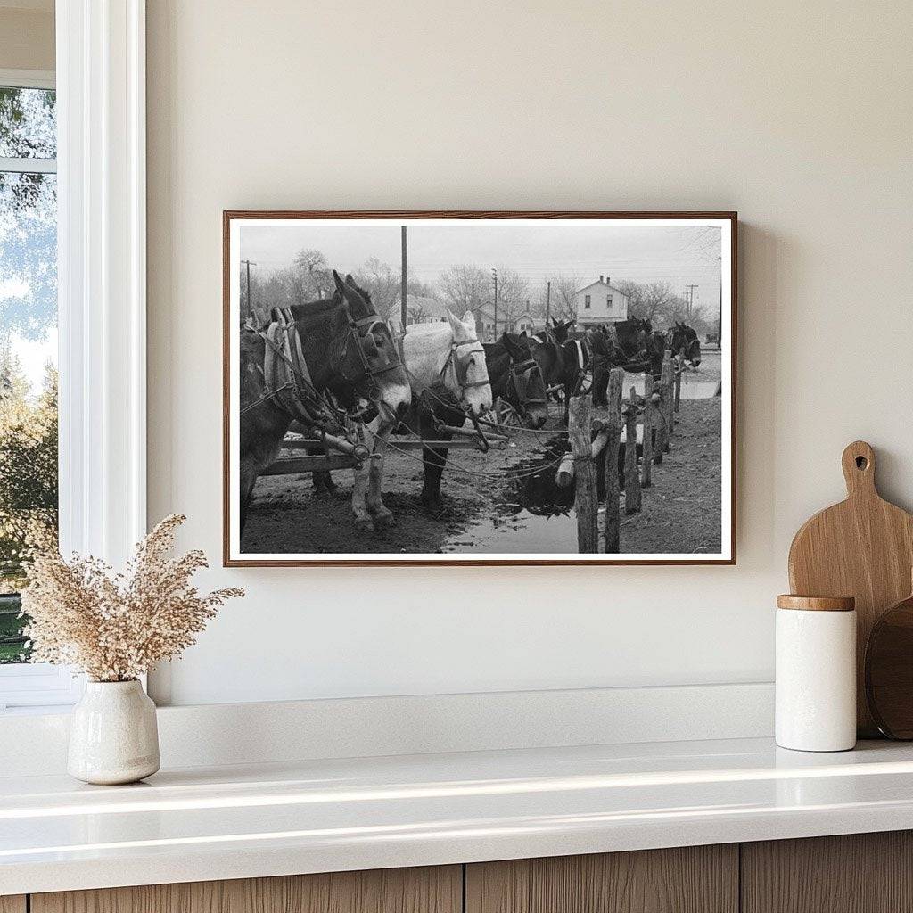 Mules Tied at Hitching Posts in Eufaula Oklahoma 1940