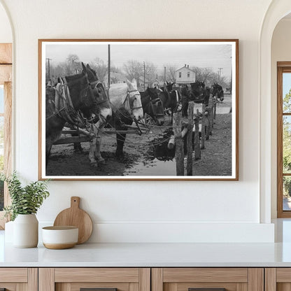 Mules Tied at Hitching Posts in Eufaula Oklahoma 1940