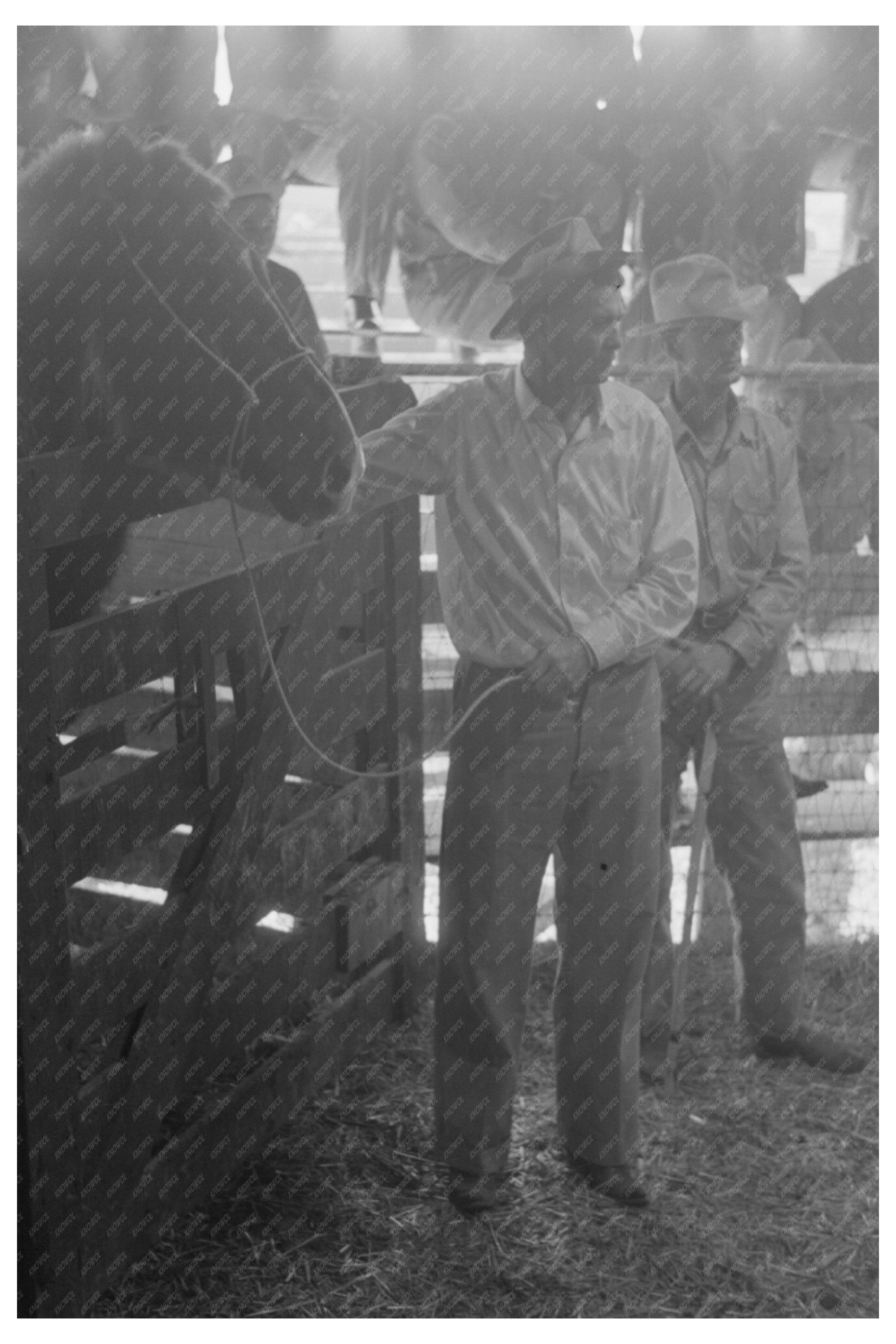 Vintage Horse Auction Spectators San Angelo Texas 1940
