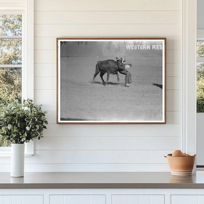 Rodeo Bulldogging Calf San Angelo Texas March 1940