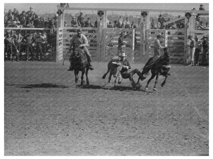 Wild Steer Wrestling at San Angelo Stock Show 1940