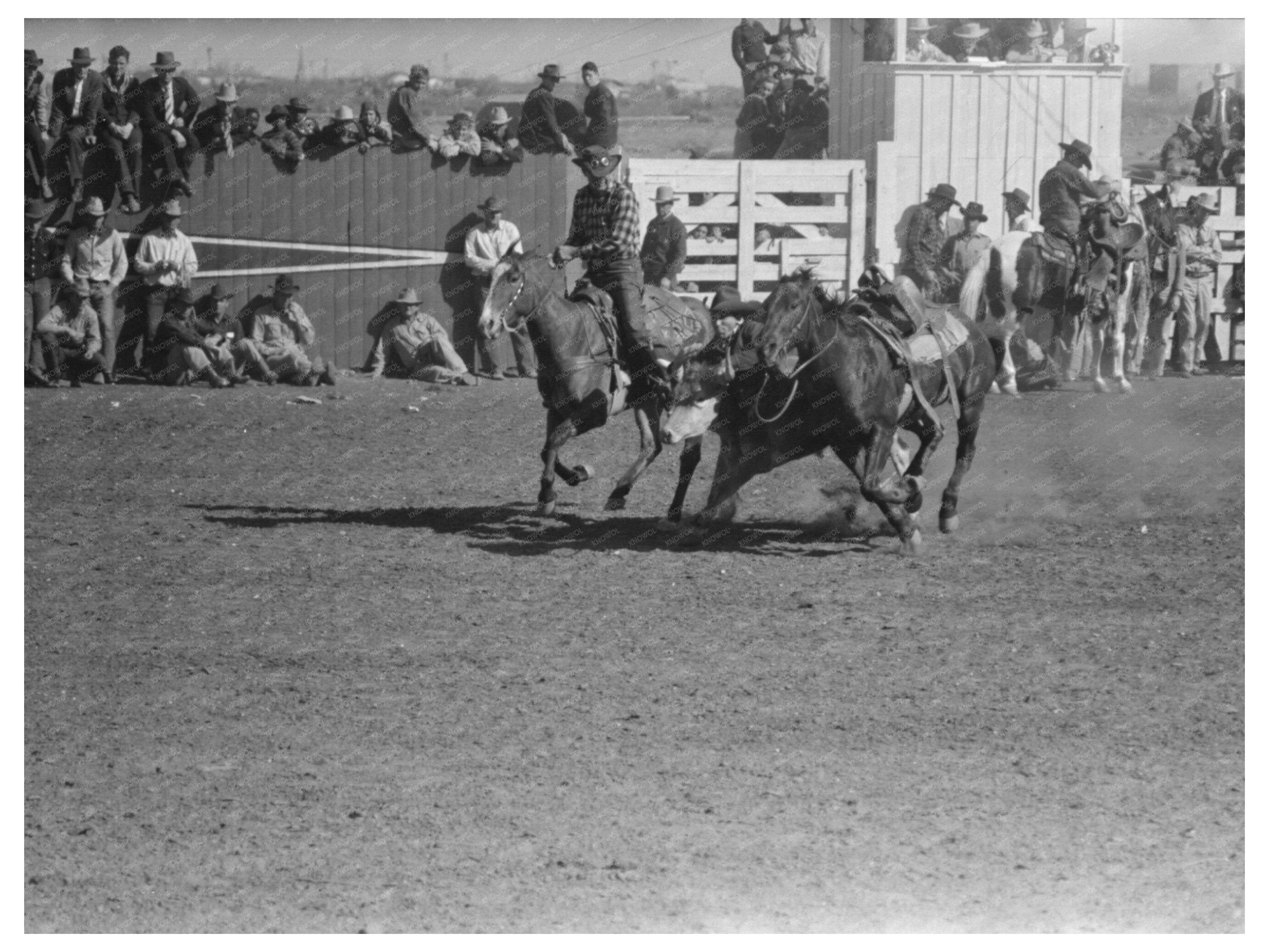 Rodeo Scene at San Angelo Fat Stock Show 1940