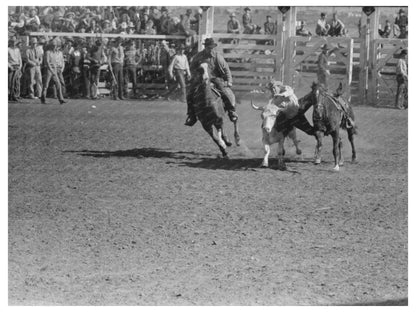 Wild Steer Wrestling San Angelo Rodeo March 1940