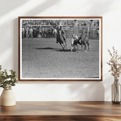 Wild Steer Wrestling San Angelo Rodeo March 1940