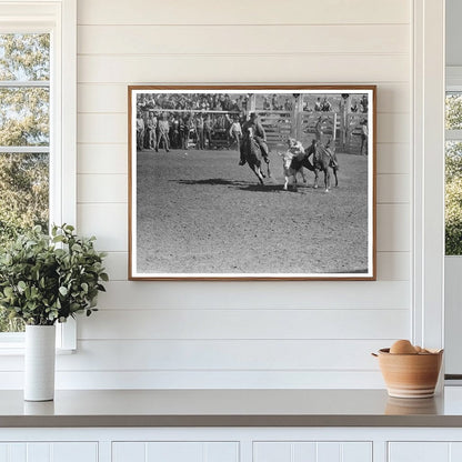 Wild Steer Wrestling San Angelo Rodeo March 1940