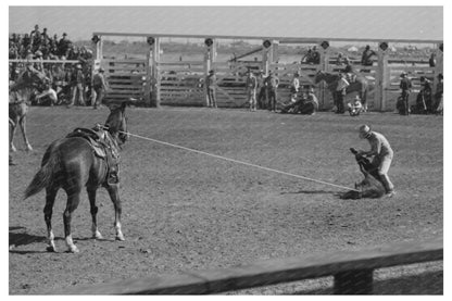 Cowboy Roping a Calf at San Angelo Rodeo 1940