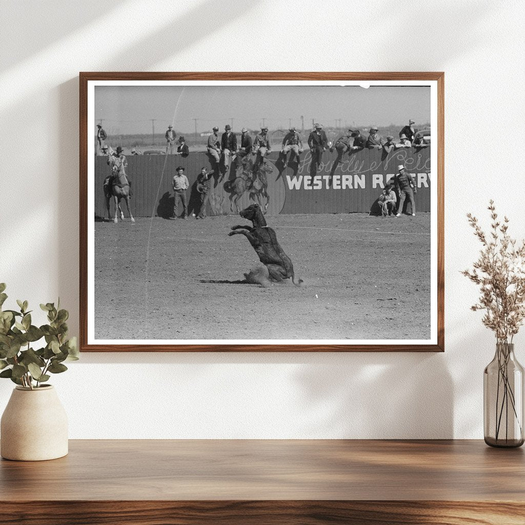 Calf Roping Contest at San Angelo Rodeo March 1940