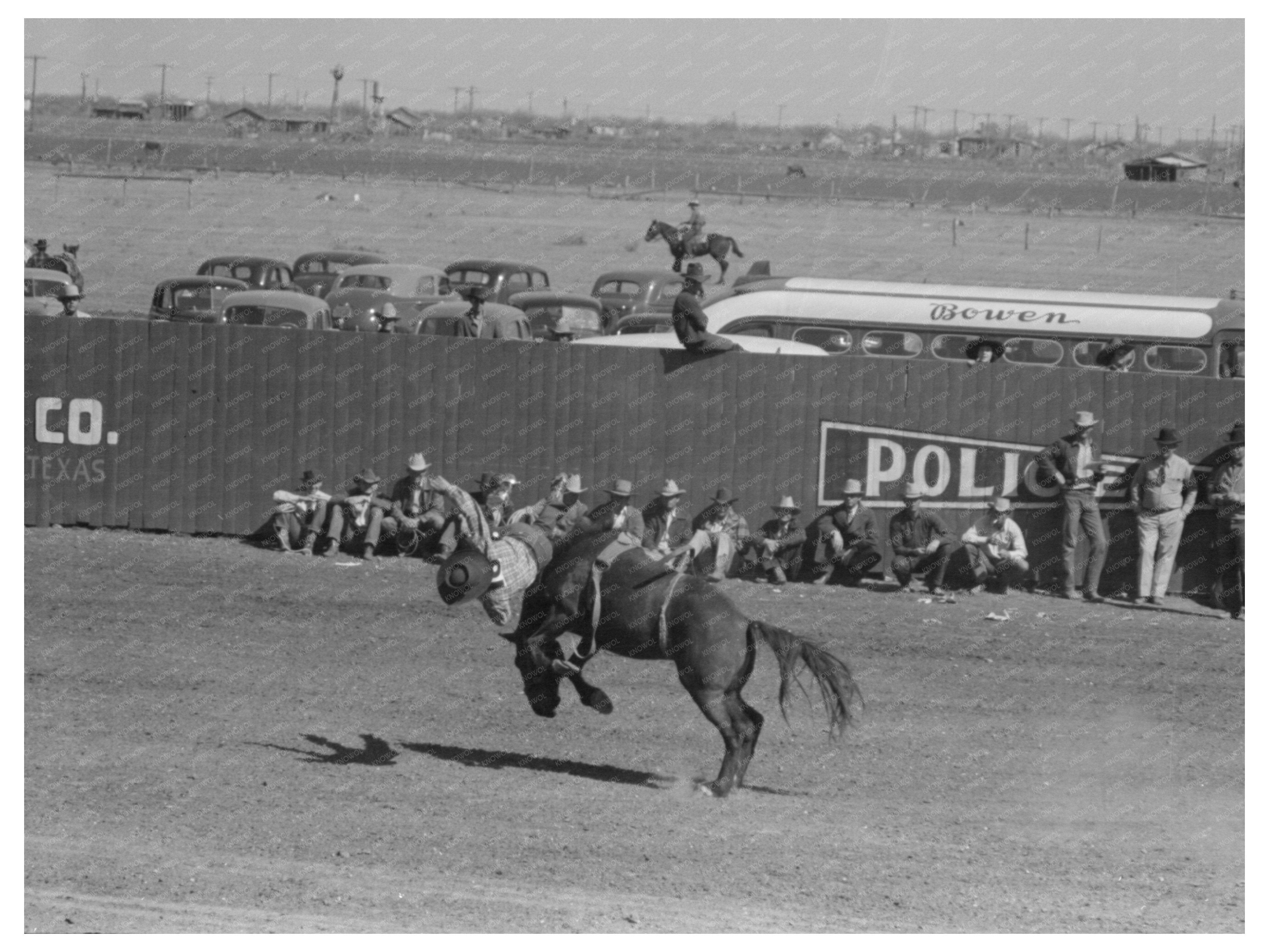 Cowboy Thrown from Bucking Horse Rodeo March 1940