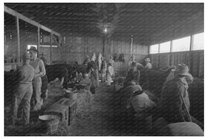 San Angelo Fat Stock Show Cattle Barn March 1940