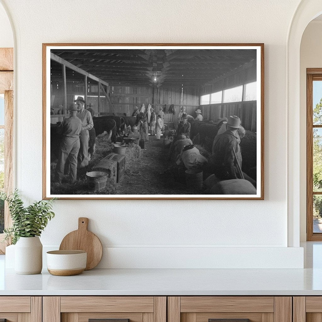 San Angelo Fat Stock Show Cattle Barn March 1940