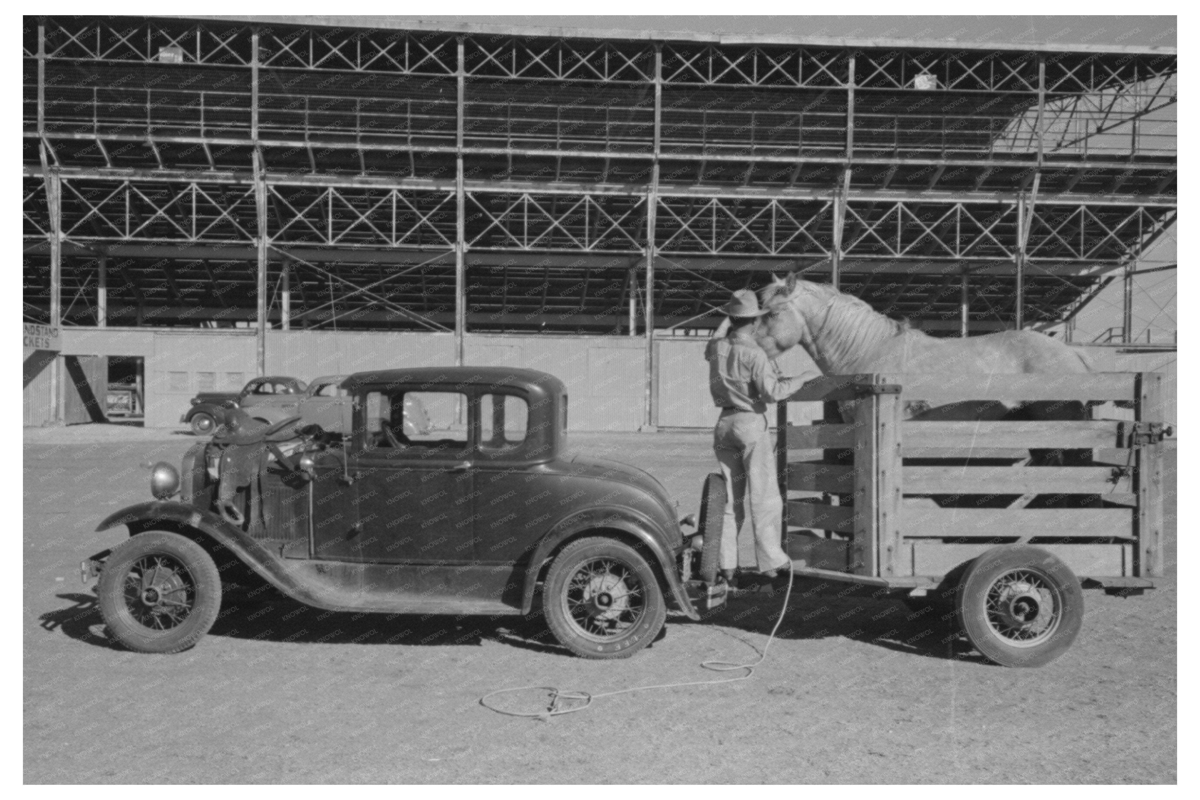 Rodeo Performer Arrives at San Angelo Fat Stock Show 1940