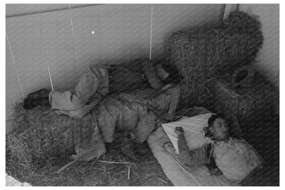 Cowboys Resting in San Angelo Fat Stock Show Barn 1940