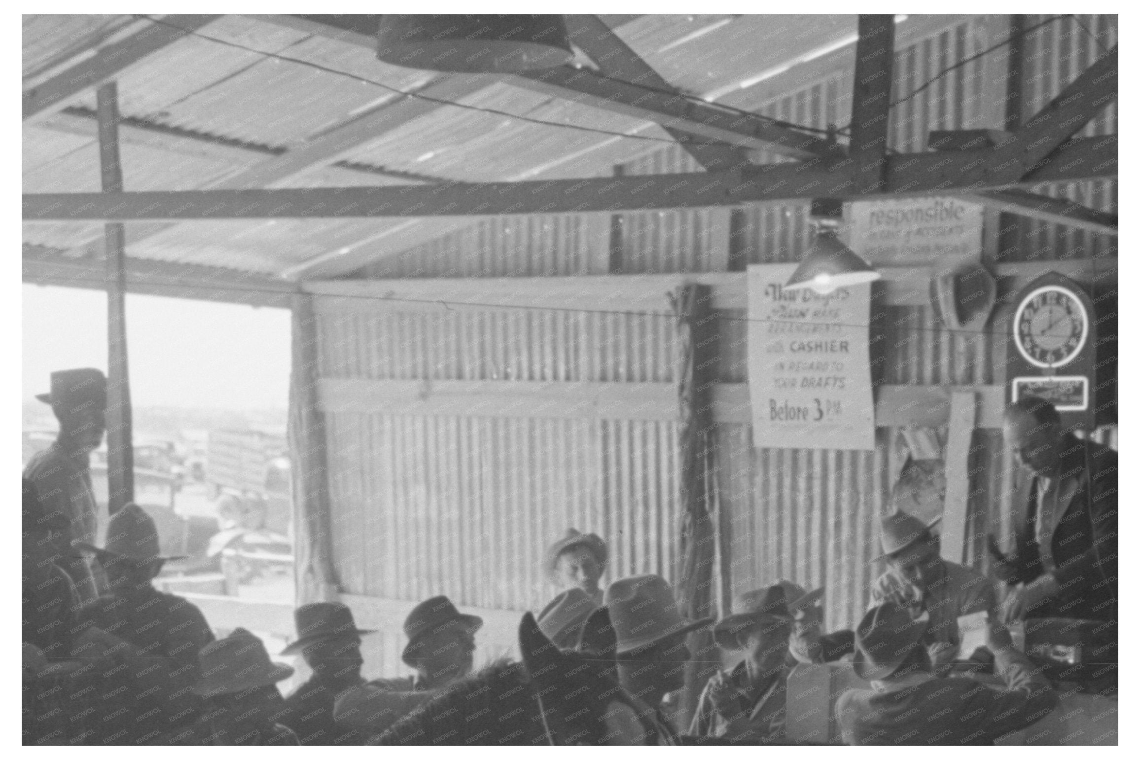 Horse Auction at San Angelo Stockyards March 1940