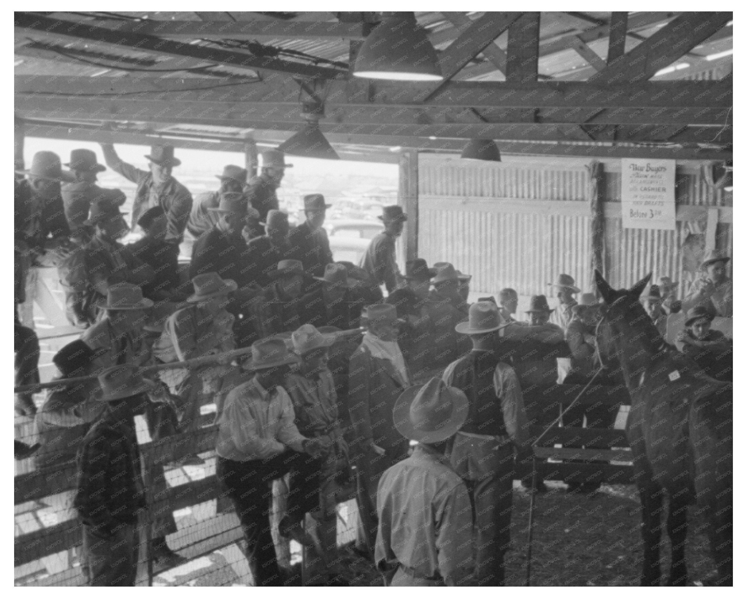 Horse Auction at West Texas Stockyards March 1940