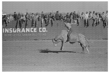 Rodeo Performer on Brahma Bull San Angelo Texas 1940